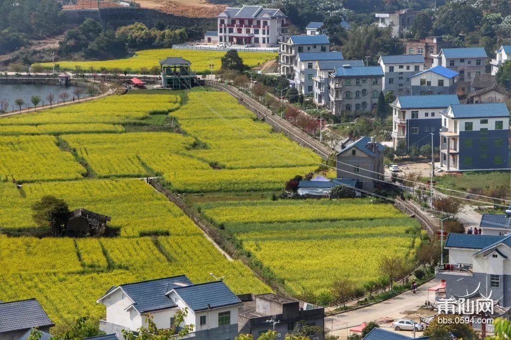 莆田坪人口_莆田坪盘旅游景区(3)