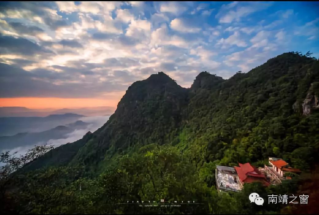 独步在紫荆山的山路中,当过去印象中那凤尾森森龙吟细细的翠竹变为