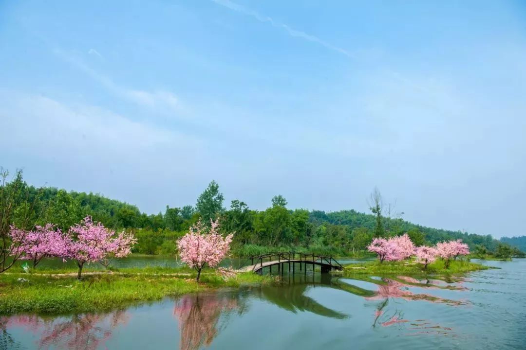 【初春踏青旅丨寻梦桃花源】常德61桃花源景区,桃花源古镇一日游