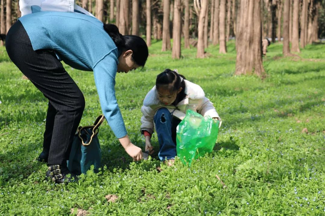 崇明养生野菜节"新鲜"来袭,还不快来挖!