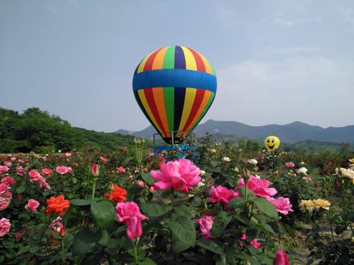 铜陵梧桐花谷春季最全赏花攻略