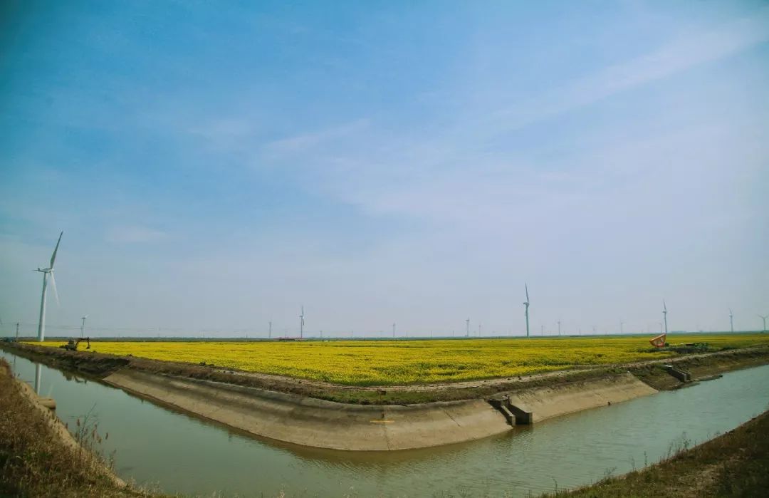 飞驰过慈溪"巴音布鲁克"赛道,你会发现这片超美的花海!