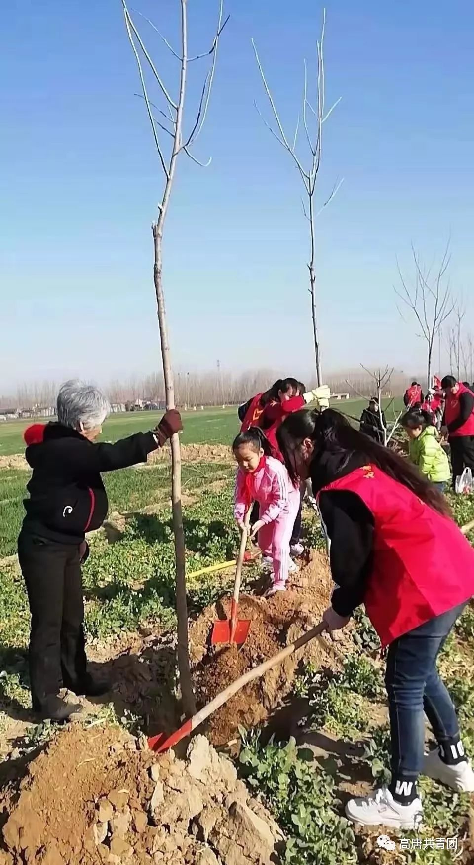 青动态小手拉大手我们一起去植树