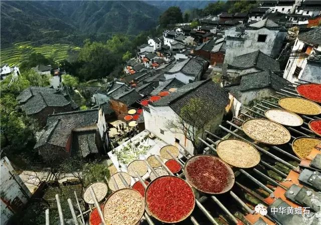 绿树红墙,青砖黛瓦,烟雨楼台,兰亭水榭.