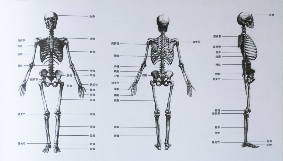 速写知识点大全,还是这样的干货给力