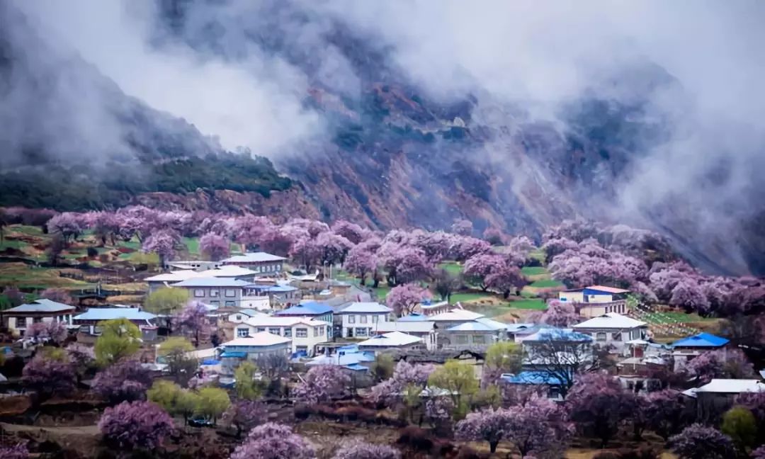 西藏林芝人口_西藏林芝(2)