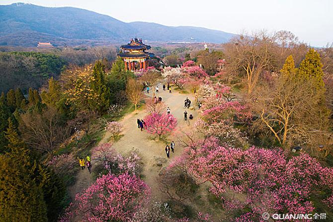 3,南京梅花山春夏秋冬每个季节西湖都有她独特的美,不过跟歌词里写的