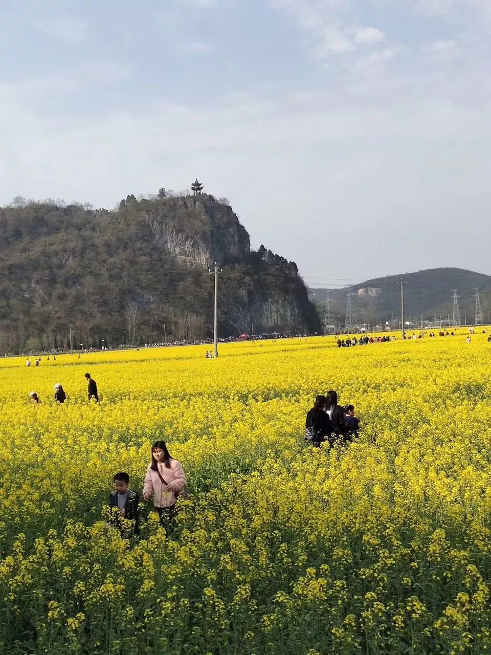 阳春三月,狮子山油菜花刷爆你的朋友圈!_泾县