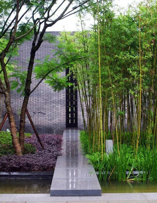 愿有一个院子,院里种一片竹子!