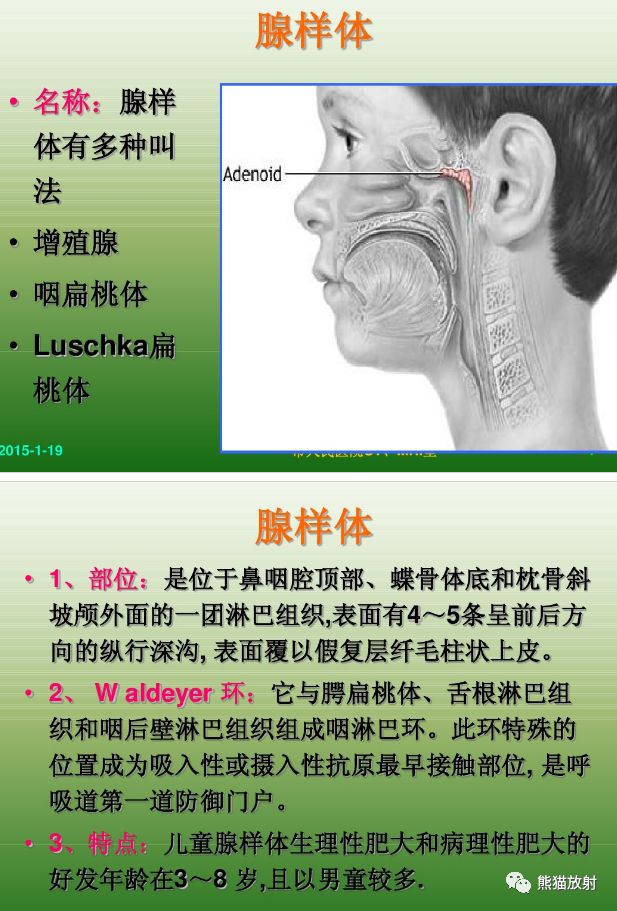 此垂直线反向延长线与硬腭后端或软腭前中部上端的交点和枕骨斜坡颅