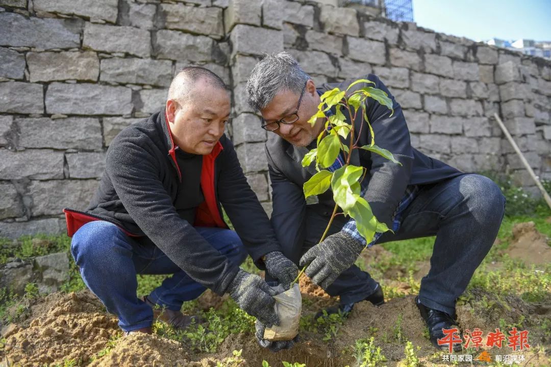 因都是离乡台胞,林标雄很快便和杨仲良熟络了起来,在杨仲良的帮助下