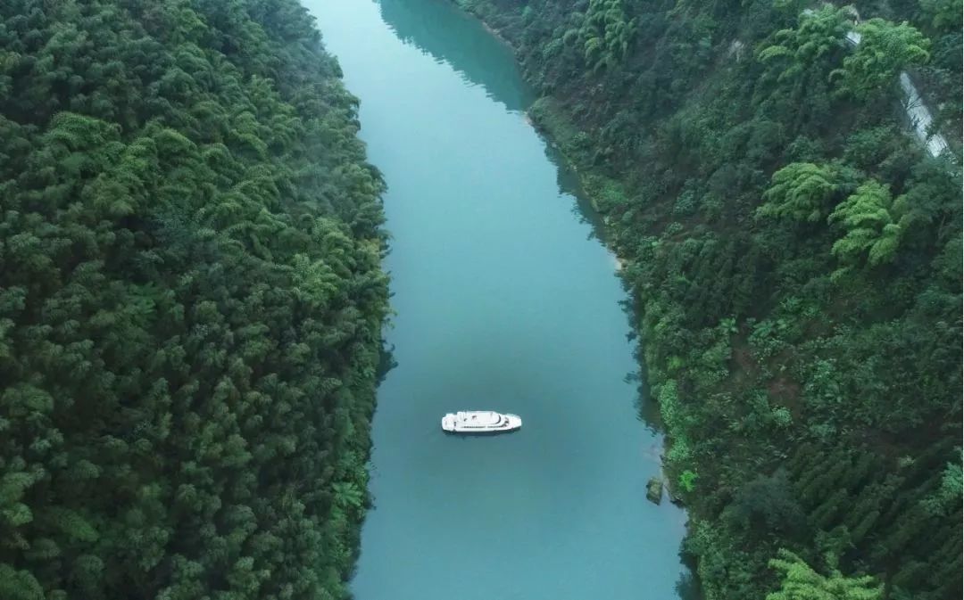 花海,矿井,小镇,游艇.这才是嘉阳桫椤湖的正确打开方式