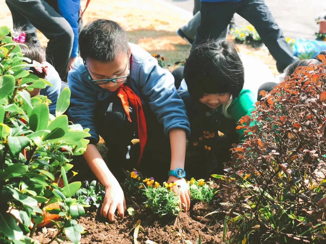 种花种草种春风闵行区曹行小学春之歌系列活动