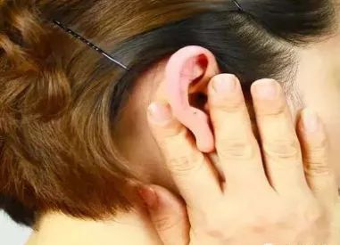 5 摩耳背:助降血压,通血管 耳背上有一条沟叫降压沟,它对应人体的