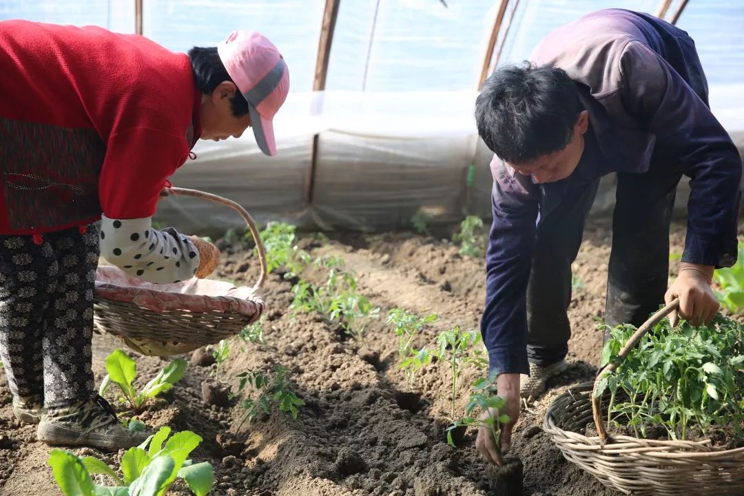 福安村人口_福安廉村图片(3)