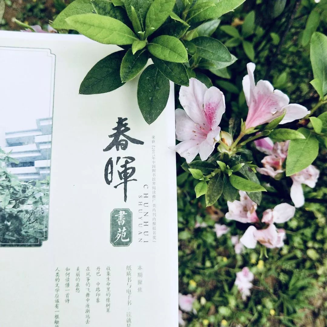 趁阳光正好,繁花盛开,一起品读《春晖书苑》