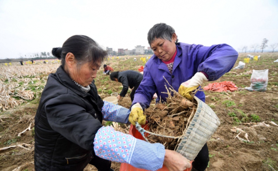 2020年进农村贫困人口_农村贫困人口分布图(2)