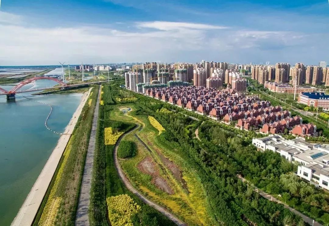 中新天津生态城开展南部片区国家绿色生态城区运管三星级标识评审工作