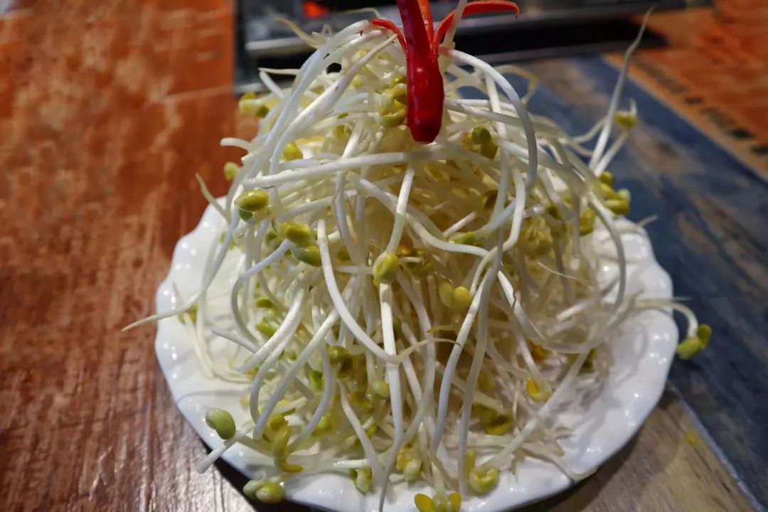 豆芽