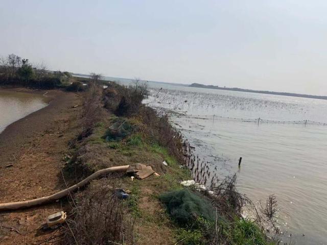 12.江夏区上涉湖,上涉湖连通闸处精养鱼池存在向湖泊抽排水情况.