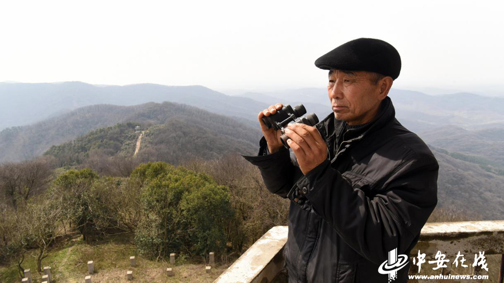 林旺有多少人口_林旺互通立交至三亚迎宾段开通(2)