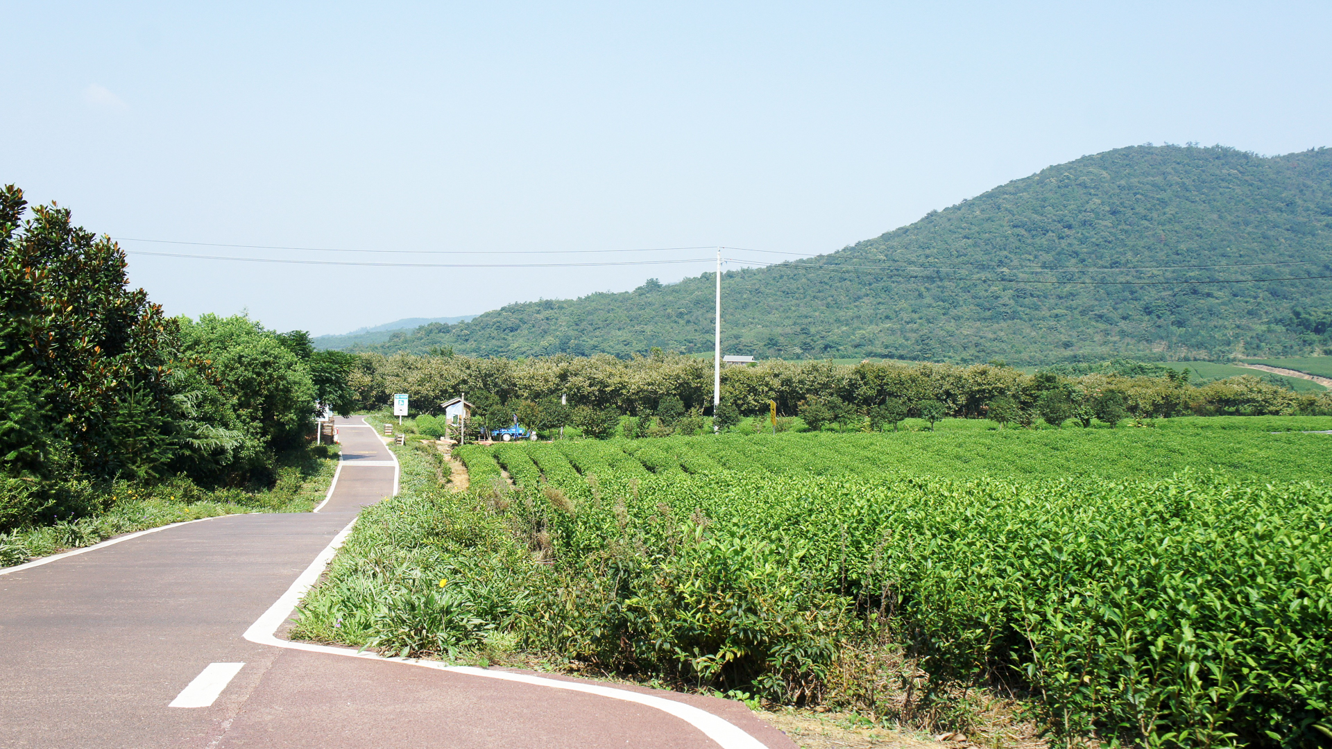 江苏最舒心的踏青地，在网红自行车主题公园里骑行，风景无限好