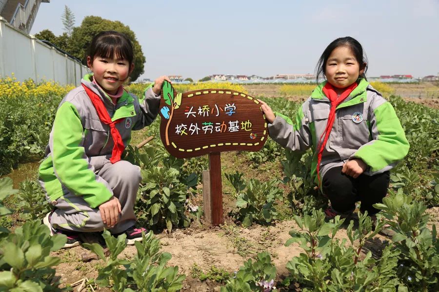 开辟农垦乐园体验农耕乐趣头桥小学校外劳动基地开垦啦