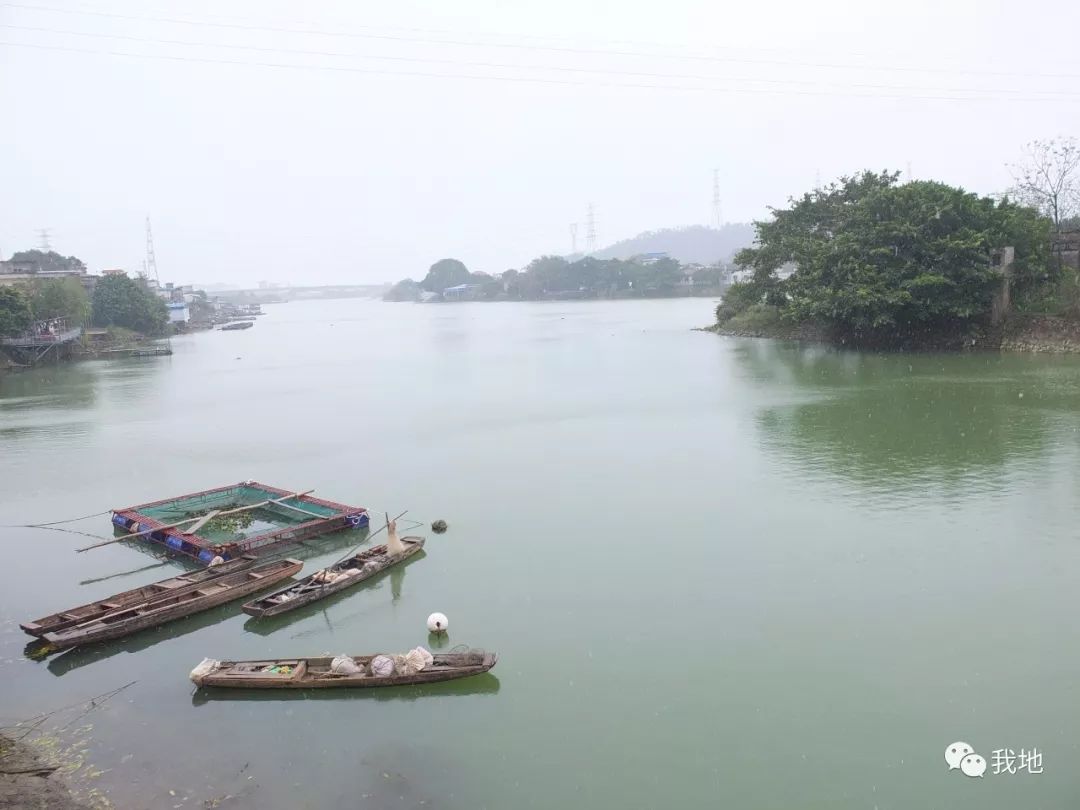 图说顺德|龙江左滩村