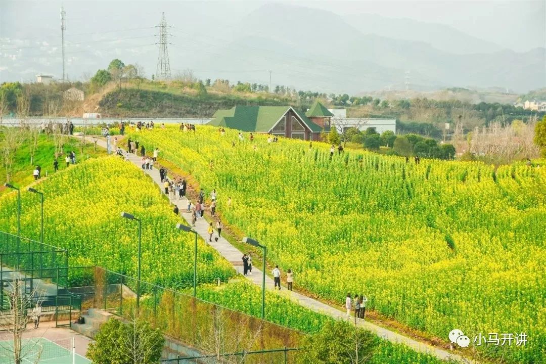 踏春丨金华百花盛开都有网红打卡赏花点呢