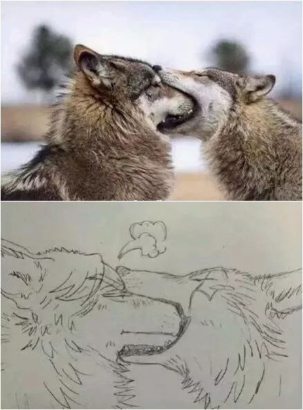 狼如何描写
