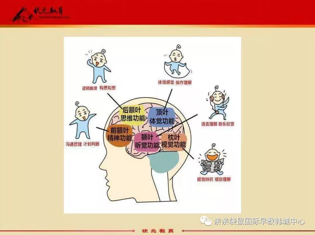 【父母微课堂 】三招抓住语言敏感期 圆满结束