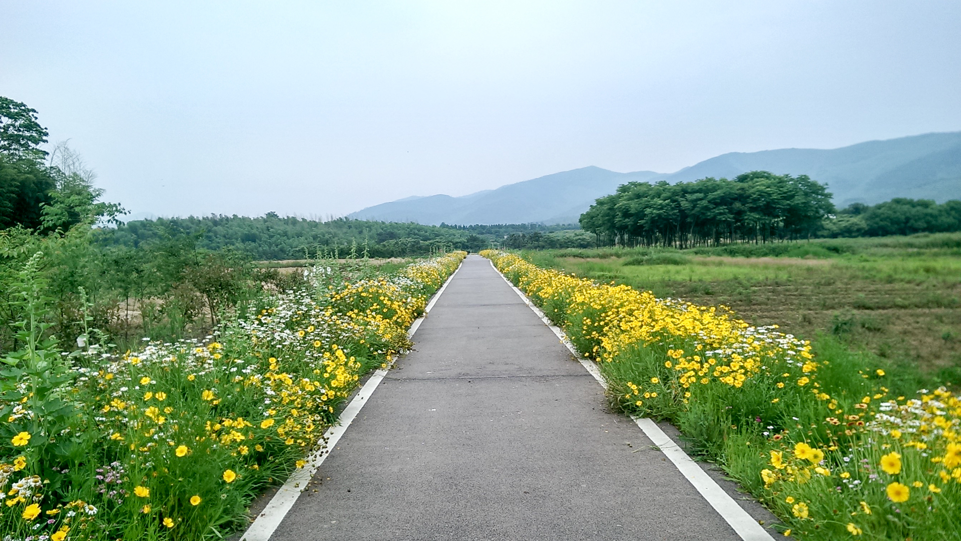 江苏最舒心的踏青地,在网红自行车主题公园里骑行,风景无限好
