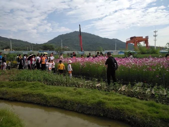 厦门天竺山香草园亲子一日游