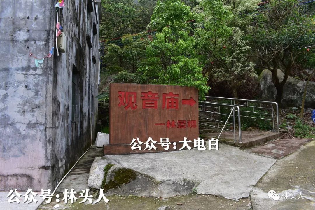 去深山寻找电白神秘古庙!(上集)_霞洞镇