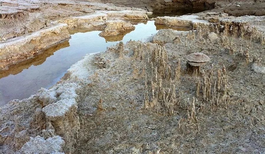 死海矿物海滩附近的盐柱和盐蘑菇 返回搜