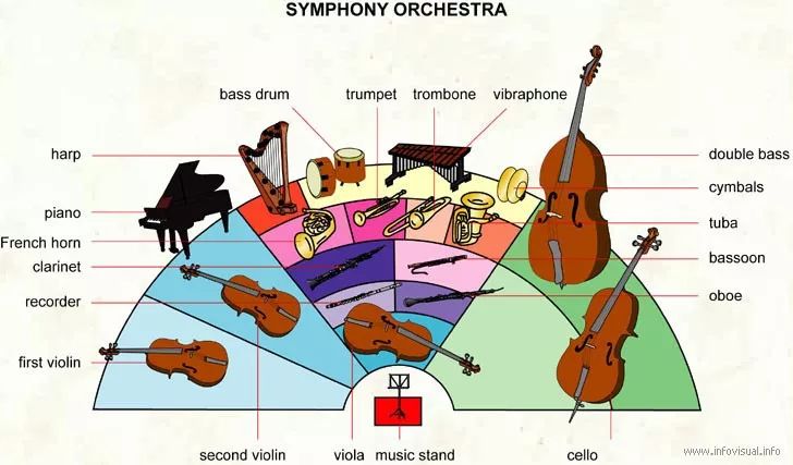 悦趣课堂乐团建设带你认识交响乐团所有乐器悦趣音乐中心