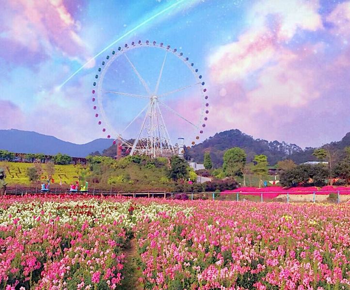 春暖花开 | 一湖山水嘉年华