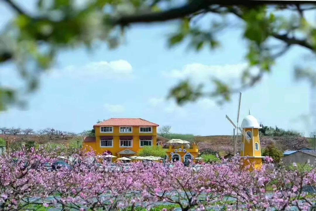 世的桃花源)姚渡镇龙门桃花沟守住你生命的静好在滚滚的时代洪流里那