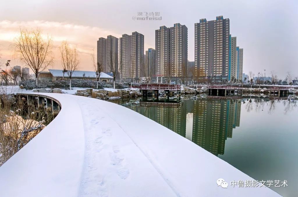 阳信人口_阳信鸭梨图片