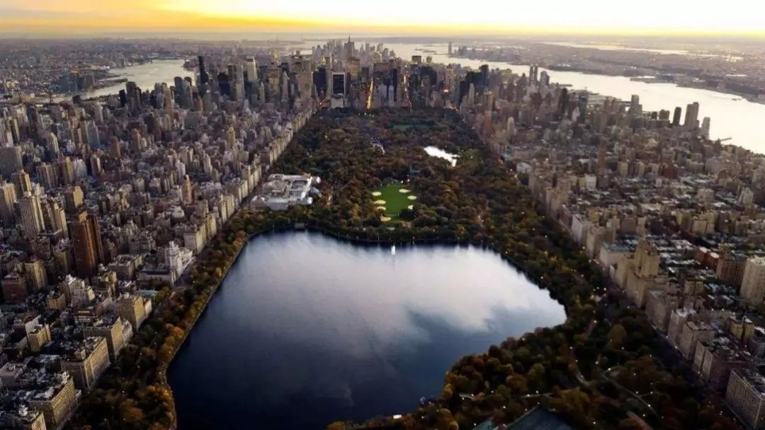 纽约中央公园全景图