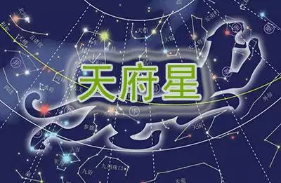 紫微斗数十四主星:天府星研究_福德