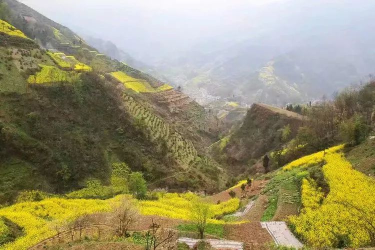 廖晓伟作品山水集万源风景美