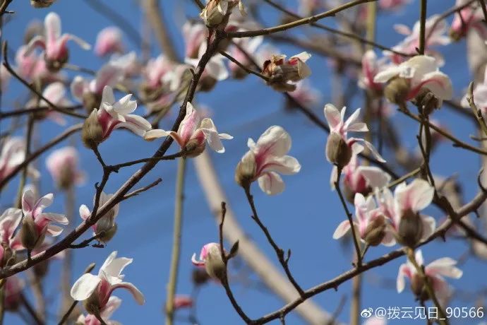 大反转！猛降10℃！易县天气就是这么任性！