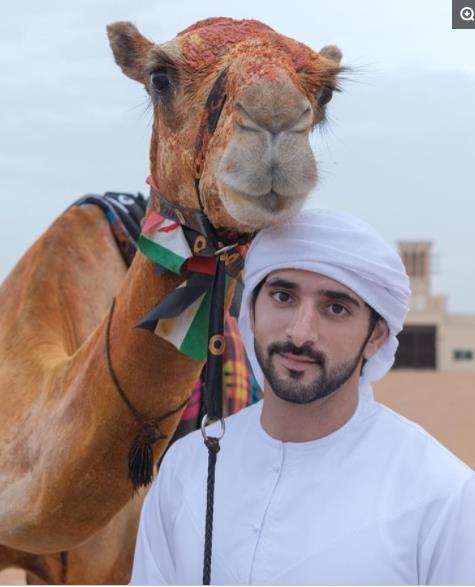 迪拜王子与动物的温馨画面张张照片萌翻众人眼球