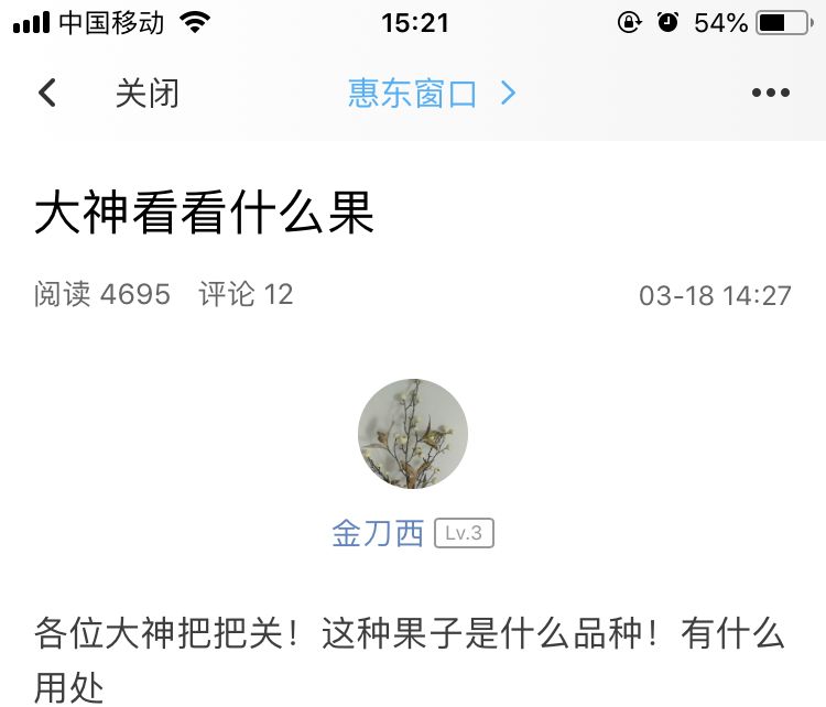 弯弯的什么（弯弯的什么填词语）-85模板网