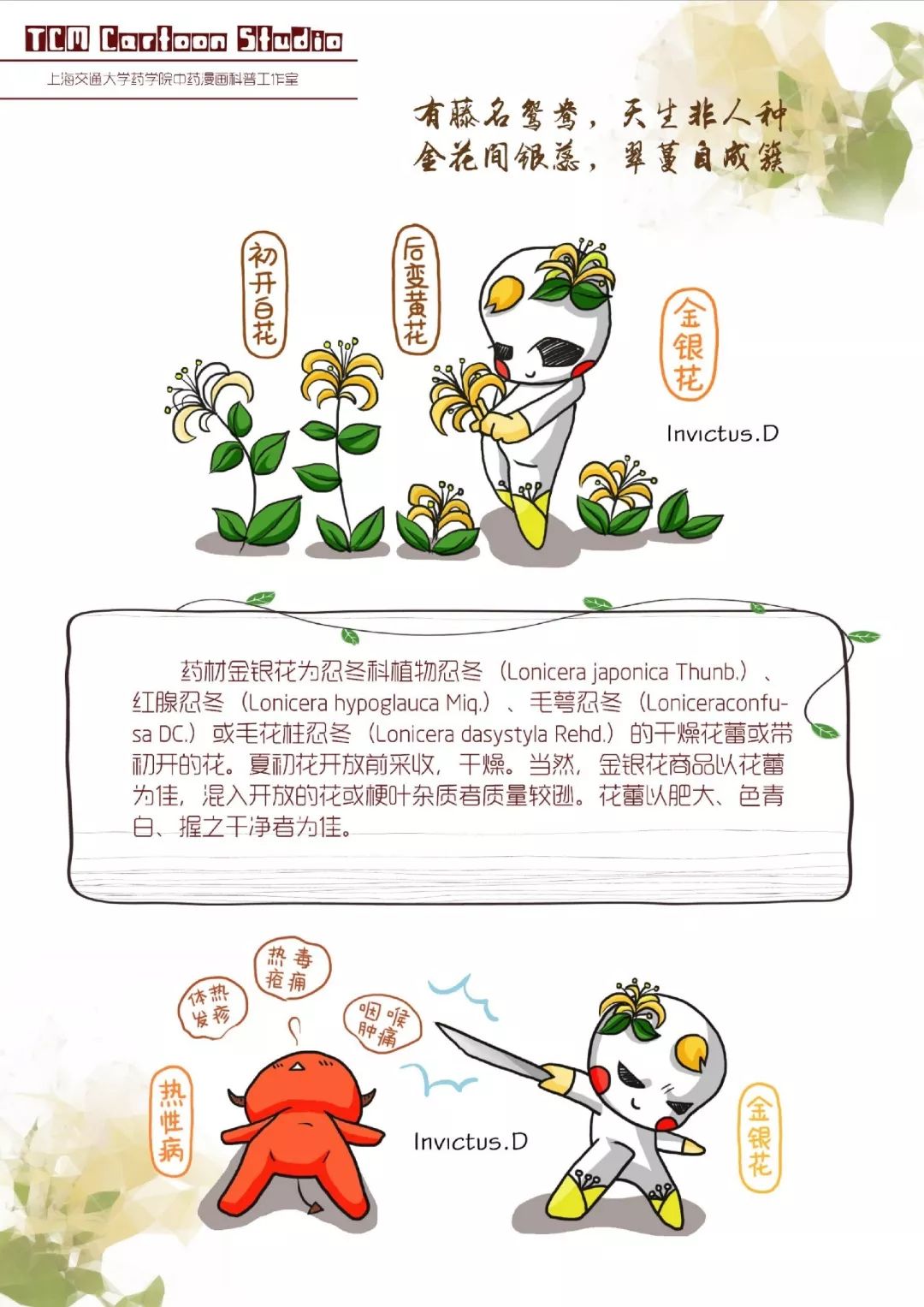 【科普漫画】第五话:金银花_中药