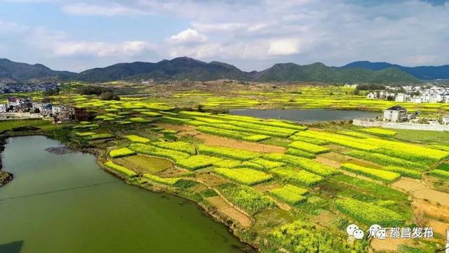 于都县各乡镇人口_于都县各乡镇地图(2)