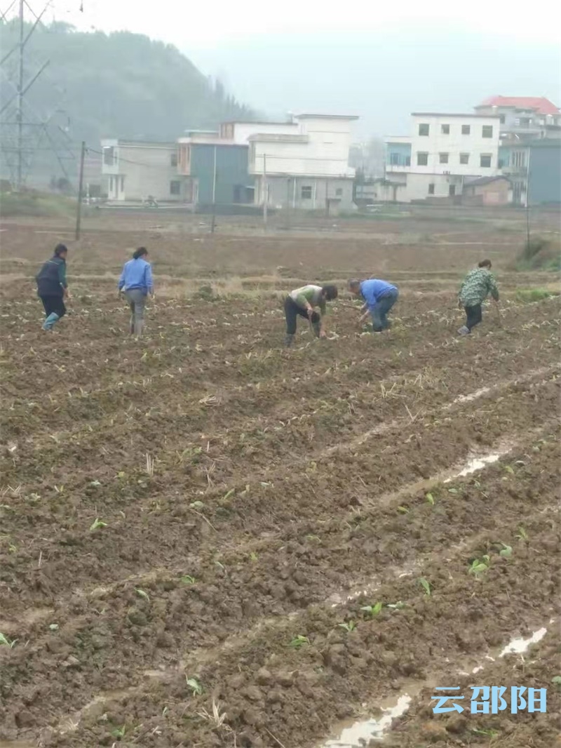 邵阳县白仓镇人口多少_邵阳县塘渡口镇梅溪(2)