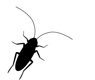 由于夏季温度升高,以 蟑螂为代表的顽固派虫子,开始复苏,并且开始