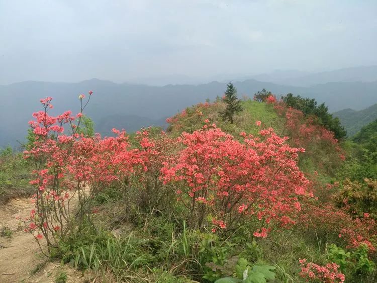 大美沅陵—九龙山(之二)